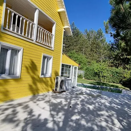 Oezer Hizarcioglu Eskiomerler