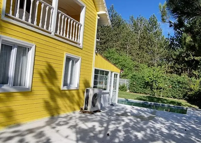 Oezer Hizarcioglu Eskiomerler